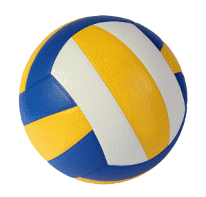 ballon_volley.gif