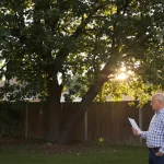 Mon voisin peut-il m’obliger à couper un arbre de mon jardin ? Ce que dit vraiment la loi